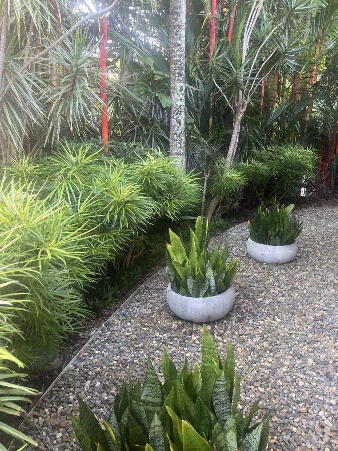 Pruning & tropical garden upkeep